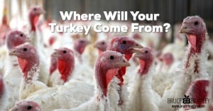 Do you know where your turkey comes from? Learn the dirty truth about the poultry business from a former turkey farmer!