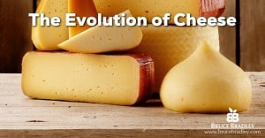 Bruce Bradley documents the scary evolution of cheese from REAL food to an industrialized mess
