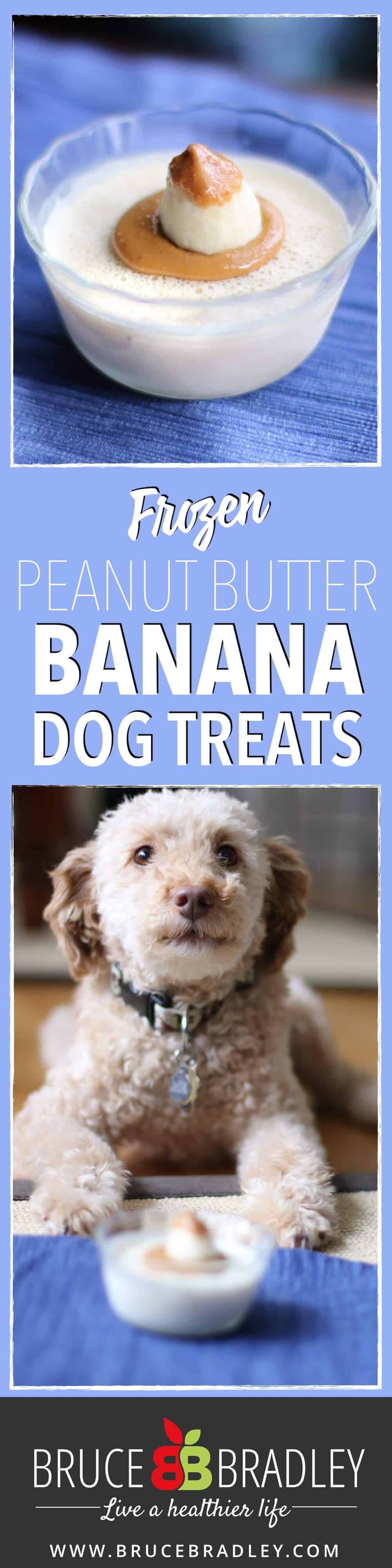 Our Special Three Ingredient, Real Food Frozen Dog Treats Are Super Easy To Make, And Oh Boy Does Our Dog Love Them!