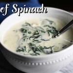 Bruce Bradley'S Delicious Cream Of Spinach Soup Is A Quick, Hearty Meal That'S Sure To Please!