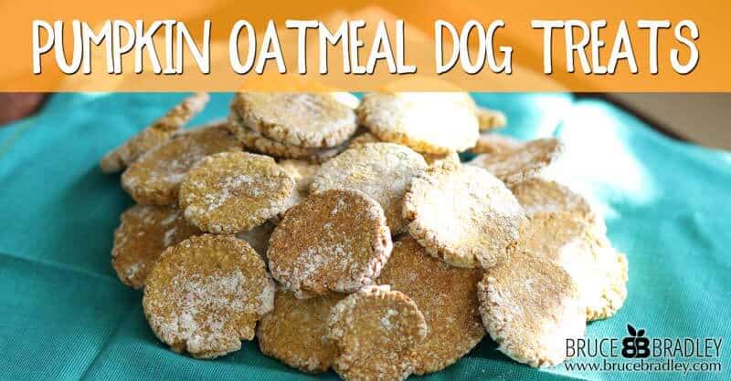 These pumpkin oatmeal dog treats are made from 100% real ingredients that your dog will love. They also make wonderful gifts for dog-loving friends!