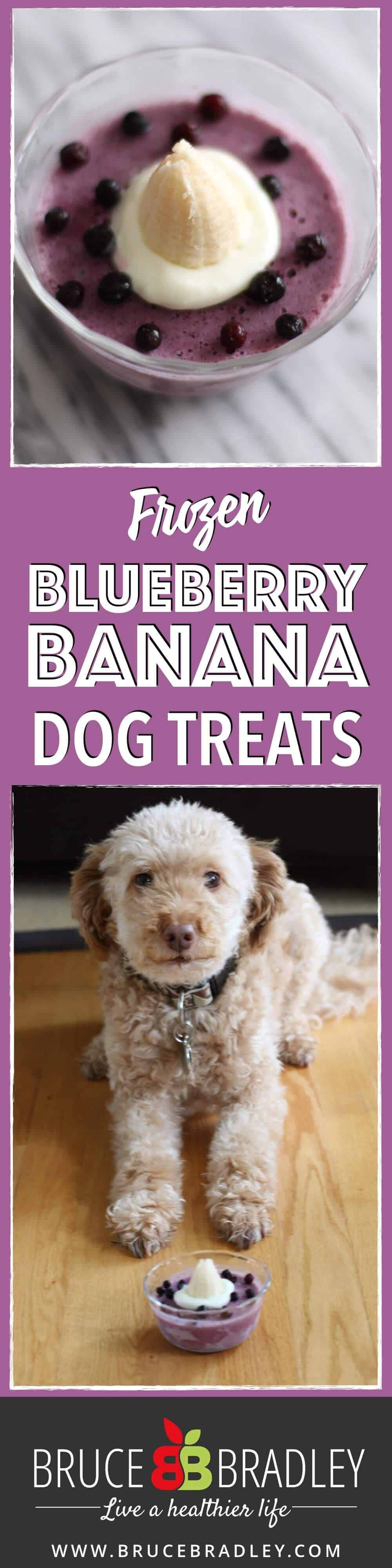These Three Ingredient Frozen Dog Treats Are The Perfect Way To Celebrate Or Reward Your Special Pooch. Made With Yogurt, Blueberries, And A Banana, You Can Whip These Treats Up In Less Than 5 Minutes, Freeze, And Share!