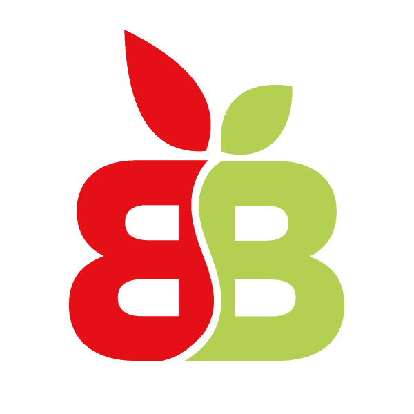 Bruce Bradley Logo No Background