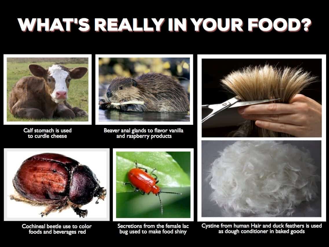Foods you eat that contain beaver butt juice